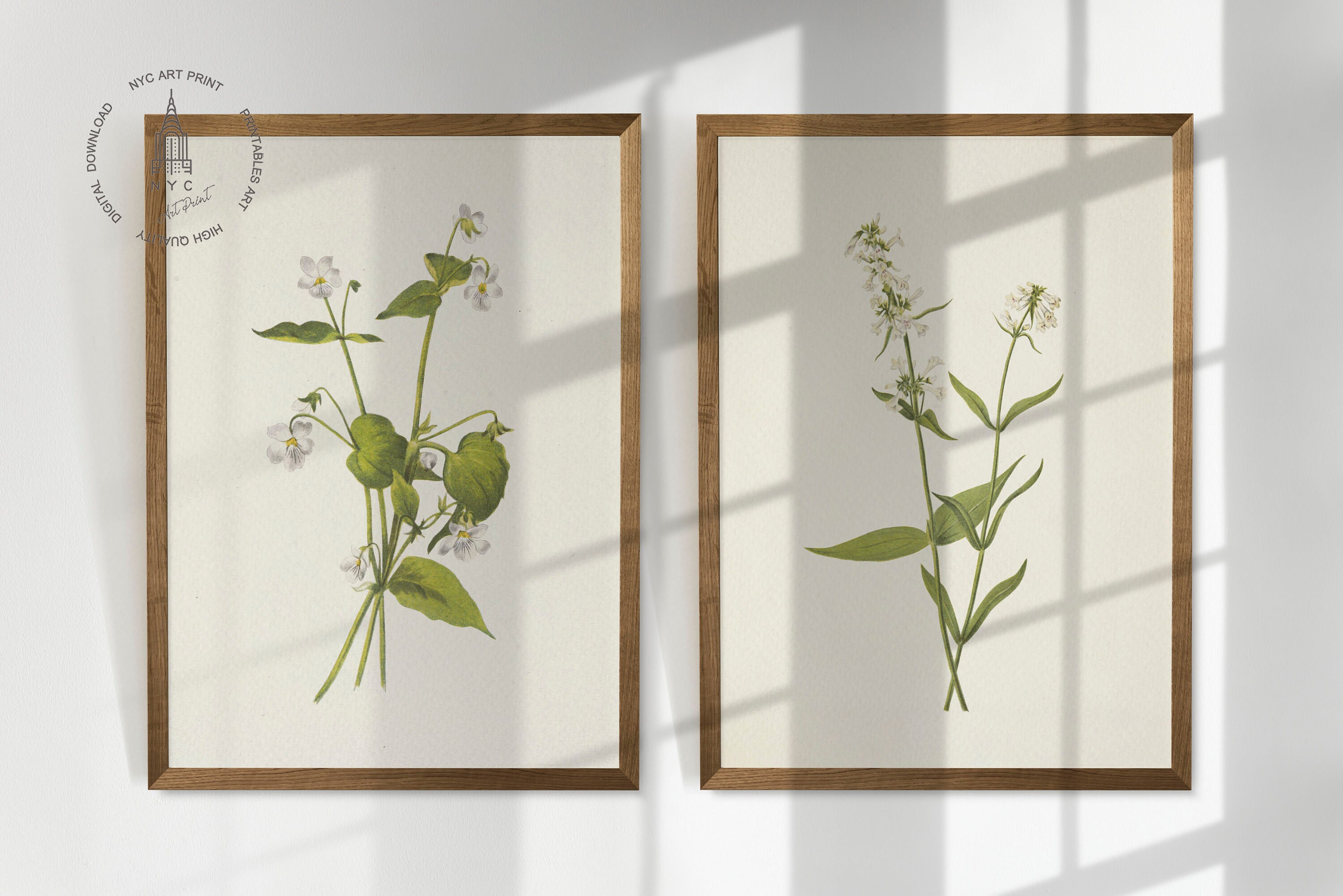 Vintage Botanical Prints Gallery Wall Set of 12, Vintage Neutral ...