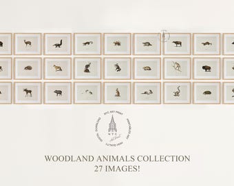 Bundel bosdieren, galerijmuur set van 27, Woodland kinderdagverblijf kunstprint, vintage collectie dierenprints, dieren landschapsprints bos