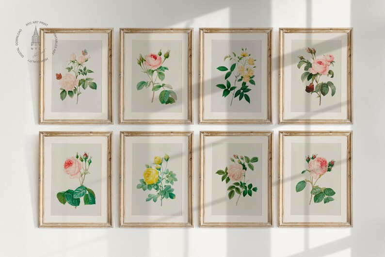 Op de afbeelding: Acht ingelijste botanische prints met verschillende soorten rozen. De prints zijn in een lichtbeige kleur met een witte achtergrond. De rozen zijn afgebeeld in verschillende tinten roze, rood en geel.