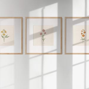 Vintage Botanical Prints Set of 15: Floral Watercolor Gallery Wall Art ...
