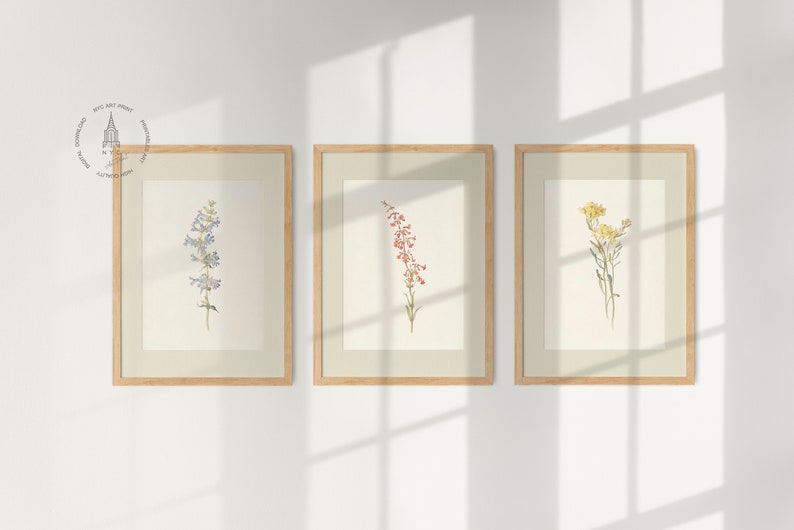 Vintage Botanical Prints Gallery Wall Set of 12, Floral Poster, Rustic ...