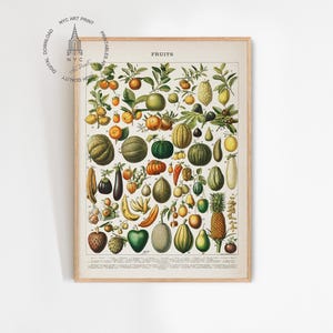 Vintage fruitprint, fruit afdrukbare muurkunst, stilleven met fruit, groenten en fruit schilderij, keukendecor, fruitkaart