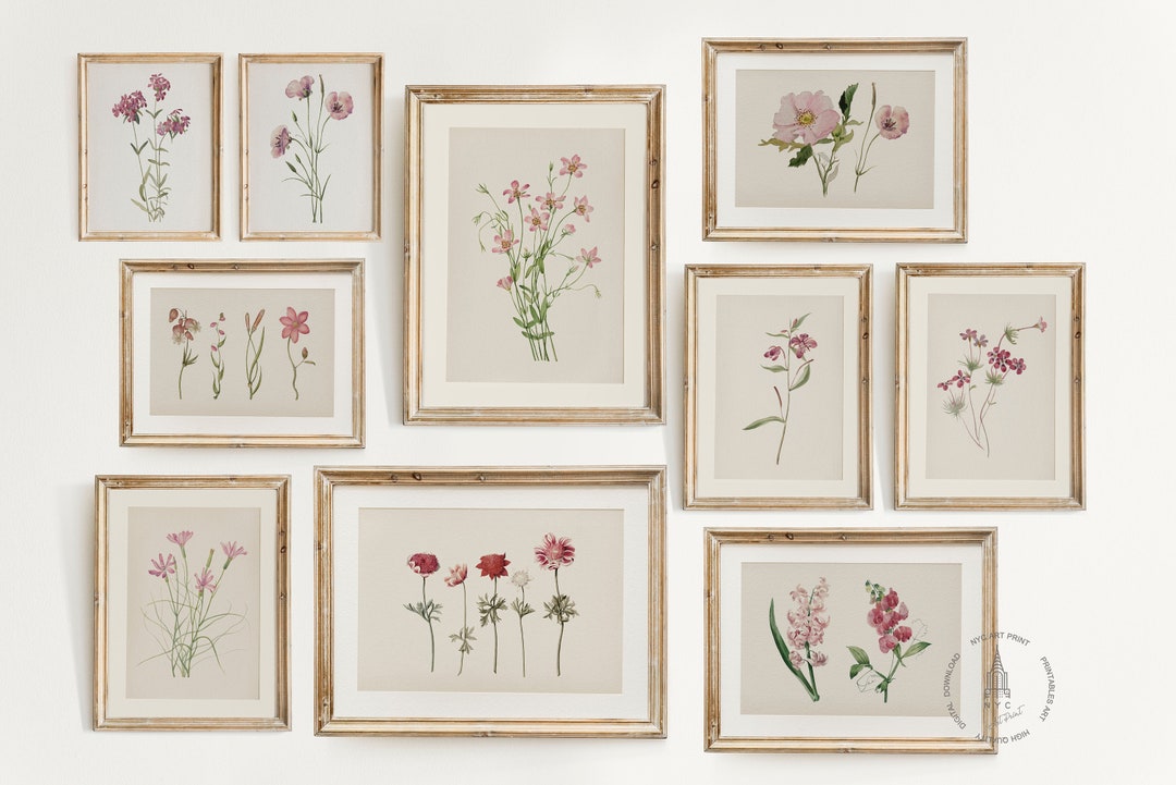 Vintage Botanical Prints Gallery Wall Set of 10, Pink Floral Poster ...
