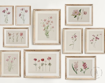 Vintage Botanical Prints Gallery wall Set of 10, Pink Floral Poster, Botanical prints, Antique Botanical Prints, Vintage Flower Prints