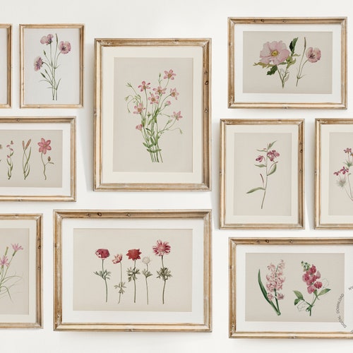 Vintage Botanical Prints Gallery Wall Set of 10 Pink Floral - Etsy