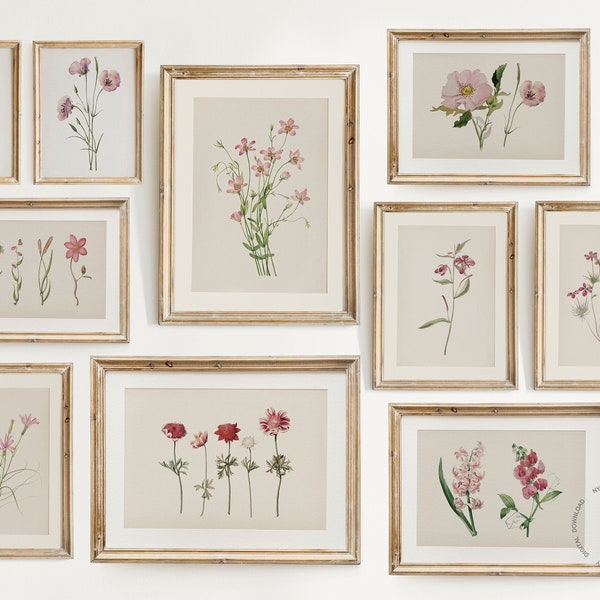 Vintage Botanical Prints Gallery wall Set of 10, Pink Floral Poster, Botanical prints, Antique Botanical Prints, Vintage Flower Prints