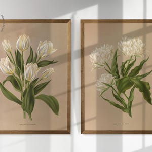 Puede incluir: Dos estampados bot&aacute;nicos enmarcados que presentan flores blancas con hojas verdes sobre un fondo beige. Las estampas est&aacute;n en marcos de madera con un acabado marr&oacute;n claro.