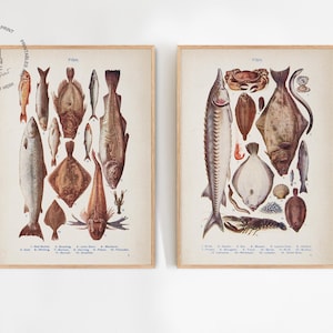 2er-Set Vintage Fischdrucke, Meerestiere Drucke, Fisch Poster, Fisch Poster, Metzgerei Karte, Küchen Deko, Fisch Poster