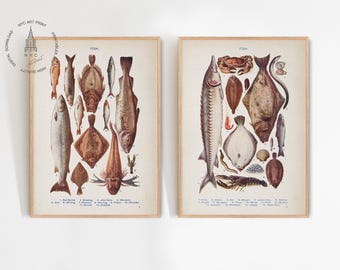 2er-Set Vintage Fischdrucke, Meerestiere Drucke, Fisch Poster, Fisch Poster, Metzgerei Karte, Küchen Deko, Fisch Poster