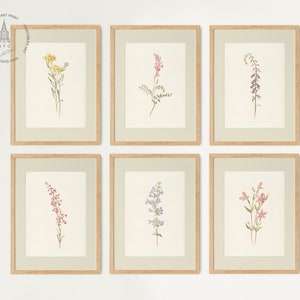 Lot de 6 affiches murales vintage de la galerie d'impressions botaniques, affiche florale, art mural botanique rustique, estampes botaniques anciennes, impressions florales vintage