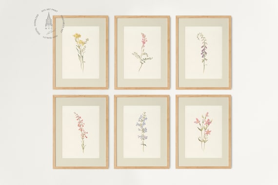 Botanical Prints Set of 6, Rustic Floral Gallery Wall Art (Digital Download)