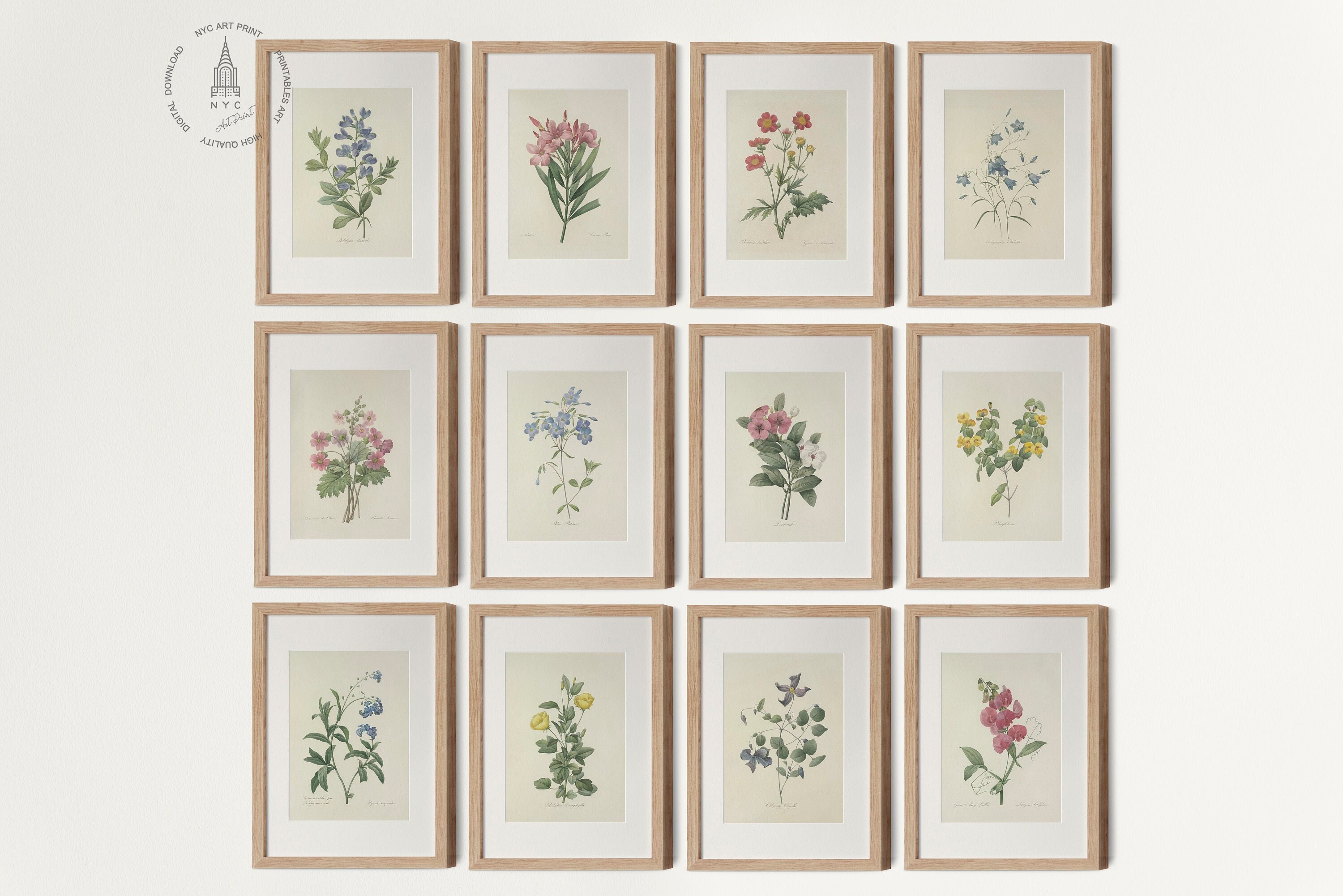 Vintage Botanical Gallery wall Set of 12, Botanical Prints, Vintage Floral Prints, French Country Farmhouse Prints, Pierre Joseph Redoute