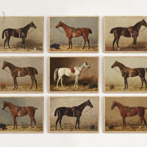 Juego de 12 láminas vintage de caballos, cuadro de caballo en el establo, arte mural ecuestre, decoración de caballos, decoración rústica, póster de caballos imagen 2