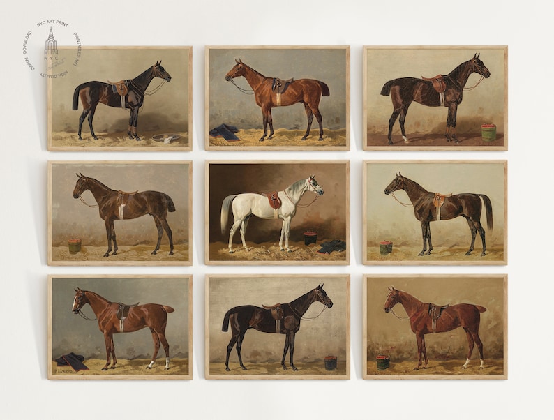 Juego de 12 láminas vintage de caballos, cuadro de caballo en el establo, arte mural ecuestre, decoración de caballos, decoración rústica, póster de caballos imagen 2