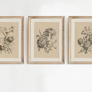 Lot de 3 dessins vintage de pivoine, impression de pivoine, décoration murale pivoine, impression de fleurs botaniques, impression d'art esquisse florale, art floral neutre