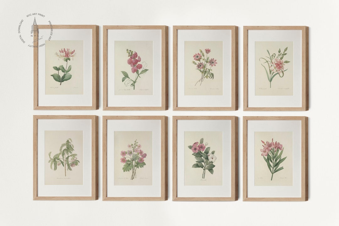 Vintage Pink Botanical Gallery Wall Set of 8, Pink Flower Art, Pink ...