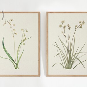 May include: Two framed botanical prints. The prints feature delicate watercolor illustrations of wildflowers with green leaves and beige flowers. The frames are made of light-colored wood. The prints are displayed against a white background.