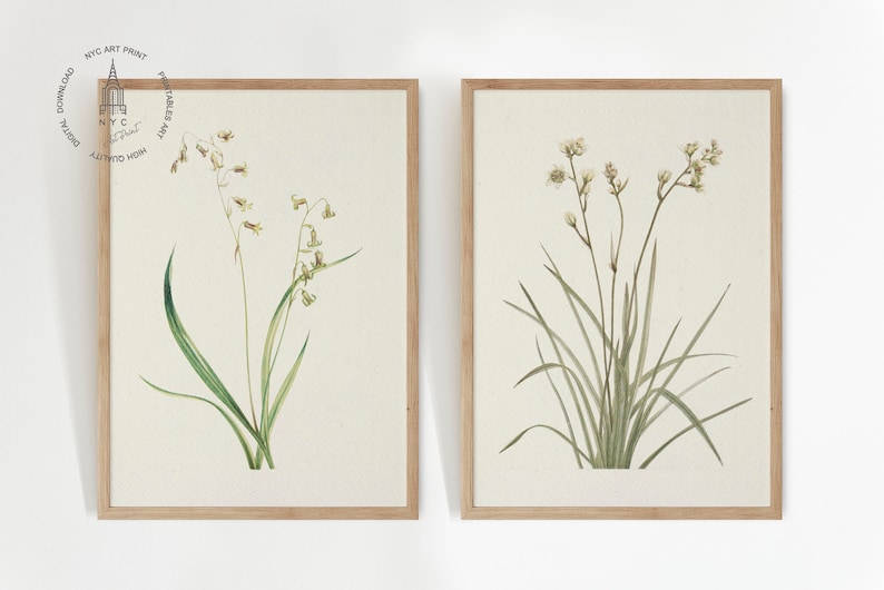 May include: Two framed botanical prints. The prints feature delicate watercolor illustrations of wildflowers with green leaves and beige flowers. The frames are made of light-colored wood. The prints are displayed against a white background.