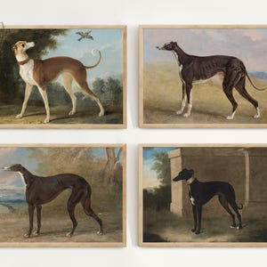 Set of 4 Vintage Greyhound Dogs Print, Vintage Greyhound Art, Antique Dog Painting, Dog Wall Art, Dog Landscape, Dog Portrait