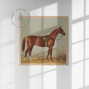 Juego de 12 láminas vintage de caballos, cuadro de caballo en el establo, arte mural ecuestre, decoración de caballos, decoración rústica, póster de caballos imagen 8
