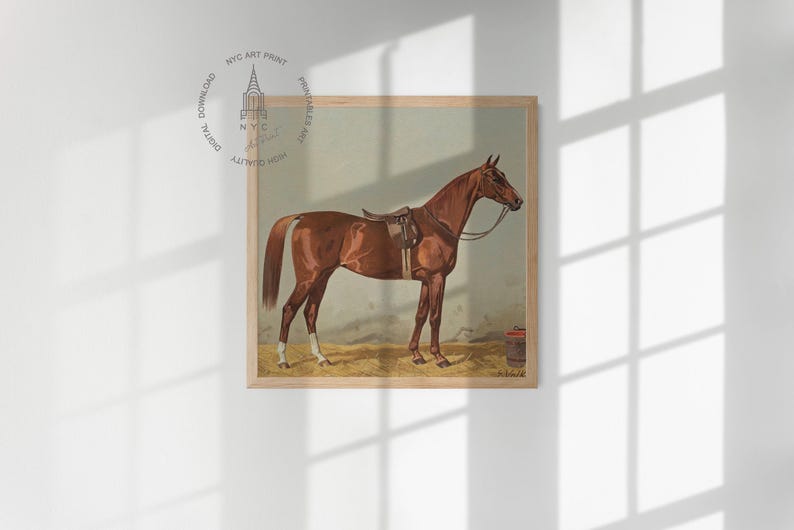 Juego de 12 láminas vintage de caballos, cuadro de caballo en el establo, arte mural ecuestre, decoración de caballos, decoración rústica, póster de caballos imagen 8