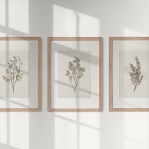 Set of 3 Vintage Botanical Prints, Neutral Gallery Wall Decor, Antique ...
