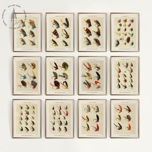 Fly Fishing Art Print Gallery Wall Set of 12, Vintage Fly Fishing Prints, Trout Fishing Art, Fishing Art, Lake House Wall Art, Fishing Decor