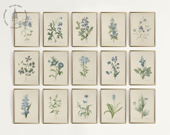 Blue Botanical Gallery Wall Set of 15: Vintage French Prints (Digital Download)