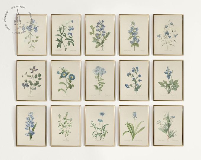 Vintage Blue Botanical Gallery Wall Set of 6, Blue Flower Art, Blue ...