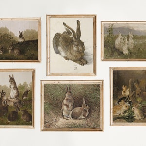 May include: Six framed vintage illustrations of rabbits in various poses. The illustrations are in a rustic style with brown and white tones. The frames are a light wood color.