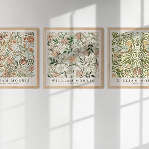 Set van 12 William Morris-posters voor aan de muur, vintage tentoonstellingsposters, William Morris-poster, botanische muurdecoratie, bloemenpatroon, WM01 afbeelding 6