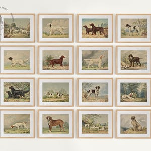 Vintage Dogs Gallery Wall Set of 16, Dog Print, Antique Dog Painting, Dog Wall Art, Dog Breeds Print, Dog Types Wall Art, English Dog Poster