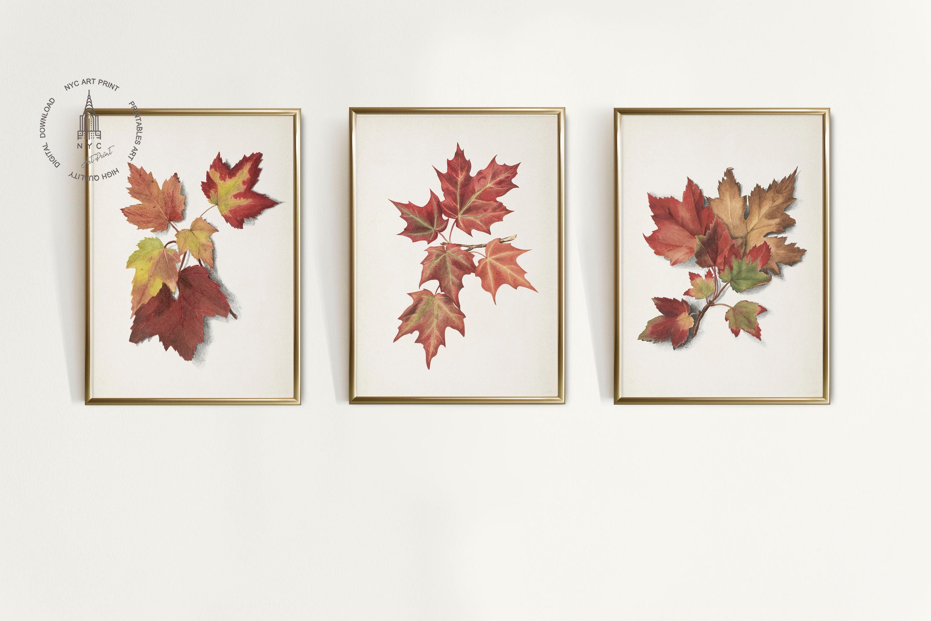 Set of 6 Vintage Fall Leaves Print, Autumn Printable Wall Art, Fall ...