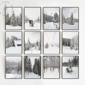 May include: A collection of twelve framed black and white winter landscape prints. The images depict snowy forests, mountains, and a cabin. Some prints show a deer, ski lift, and a snow-covered road.