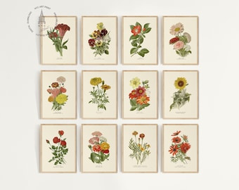 Set of 12 Vintage Autumn Flower Prints, Botanical Fall Wall Art, Rustic Fall Decor, Autumn Decor, Edward Step Art, (Digital Download) AF01