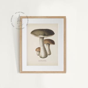 Vintage Mushroom Print, Mushroom Decor, Mushrooms Illustrations, Country Kitchen Farmhouse Decor, Rough-Stemmed Bolete