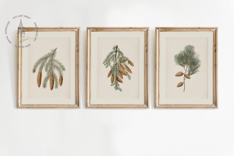 May include: Set of three framed botanical prints featuring detailed illustrations of pine branches and cones. The prints have a vintage aesthetic with a neutral color palette, framed in gold-toned wooden frames. The artwork is displayed on a white wall.