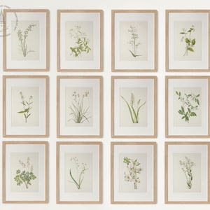 May include: Twelve framed botanical prints featuring detailed illustrations of various plants and flowers. Each print is encased in a light brown wooden frame with a white matting, creating a cohesive gallery wall aesthetic. The prints showcase a range of green and white floral arrangements.