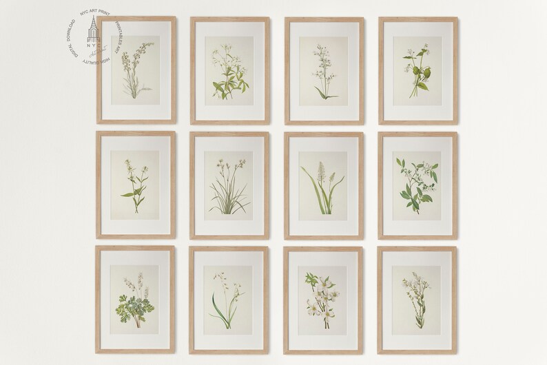 May include: Twelve framed botanical prints featuring detailed illustrations of various plants and flowers. Each print is encased in a light brown wooden frame with a white matting, creating a cohesive gallery wall aesthetic. The prints showcase a range of green and white floral arrangements.