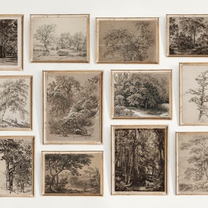 Vintage Neutral Art Print Gallery Wall Set of 12, Tree Sketches, Antique Tree Prints, Rustic Tree Wall Art, Tree Wall Art, Tree Drawing