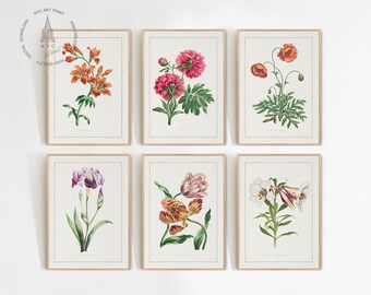 Vintage Spring Flower Prints Set of 6, Spring Botanical Prints, Spring Wall Art, Spring Decor (Digital Download)