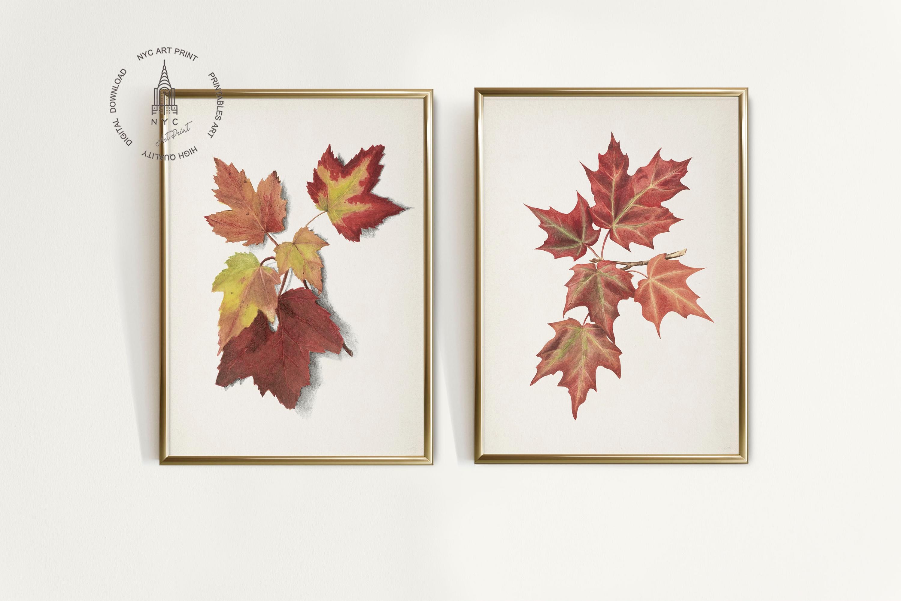 Set of 6 Vintage Fall Leaves Print, Autumn Printable Wall Art, Fall ...