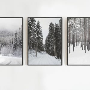 May include: Three framed black and white landscape prints. The prints depict snowy forest scenes, including a winding road, a path through tall trees, and a forest of snow-covered trees. The prints are displayed on a white wall.