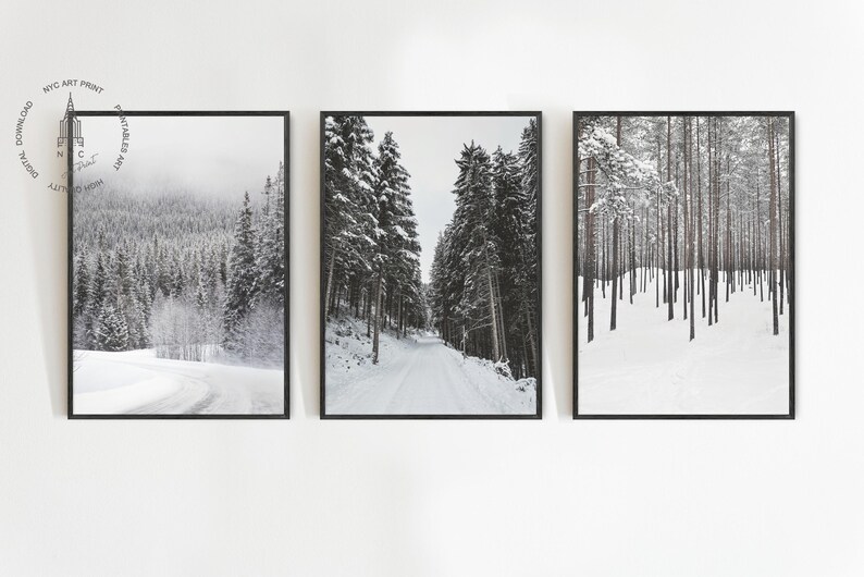 May include: Three framed black and white landscape prints. The prints depict snowy forest scenes, including a winding road, a path through tall trees, and a forest of snow-covered trees. The prints are displayed on a white wall.