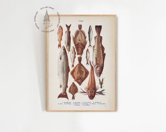 Vintage Fisch Druck, Fisch Kunst, Küchen Wandkunst, Fisch Karten Druck, Lebensmittel Karte, Fisch Poster, Metzgerei Karte, Küchen Deko FC01