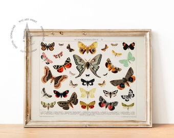 Butterfly Print, Butterfly Wall Art, Antique Butterfly Printable, Moth Art Print, Vintage Butterfly Print, Moth Painting, Butterfly Poster