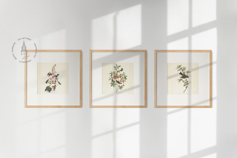 Op de afbeelding: Drie ingelijste prints van vintage botanische illustraties met vogels en bloemen. De prints zijn in een licht houten lijst en hangen aan een witte muur.