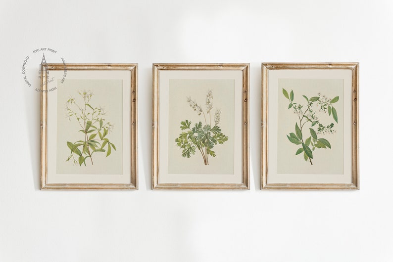 May include: Three framed botanical prints featuring detailed illustrations of various plants. The prints are in gold-colored frames with a cream-colored matting. The plants are depicted with green leaves and white flowers, set against a neutral background.
