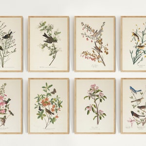 Op de afbeelding: Set van acht vintage botanische prints met verschillende vogels en bloemen. De prints zijn ingelijst in een licht houten lijst en hebben een witte achtergrond. De prints zijn allemaal in een vergelijkbare stijl, met gedetailleerde illustraties van de vogels en bloemen.