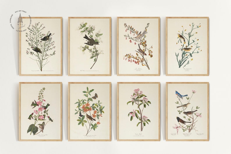 Op de afbeelding: Set van acht vintage botanische prints met verschillende vogels en bloemen. De prints zijn ingelijst in een licht houten lijst en hebben een witte achtergrond. De prints zijn allemaal in een vergelijkbare stijl, met gedetailleerde illustraties van de vogels en bloemen.